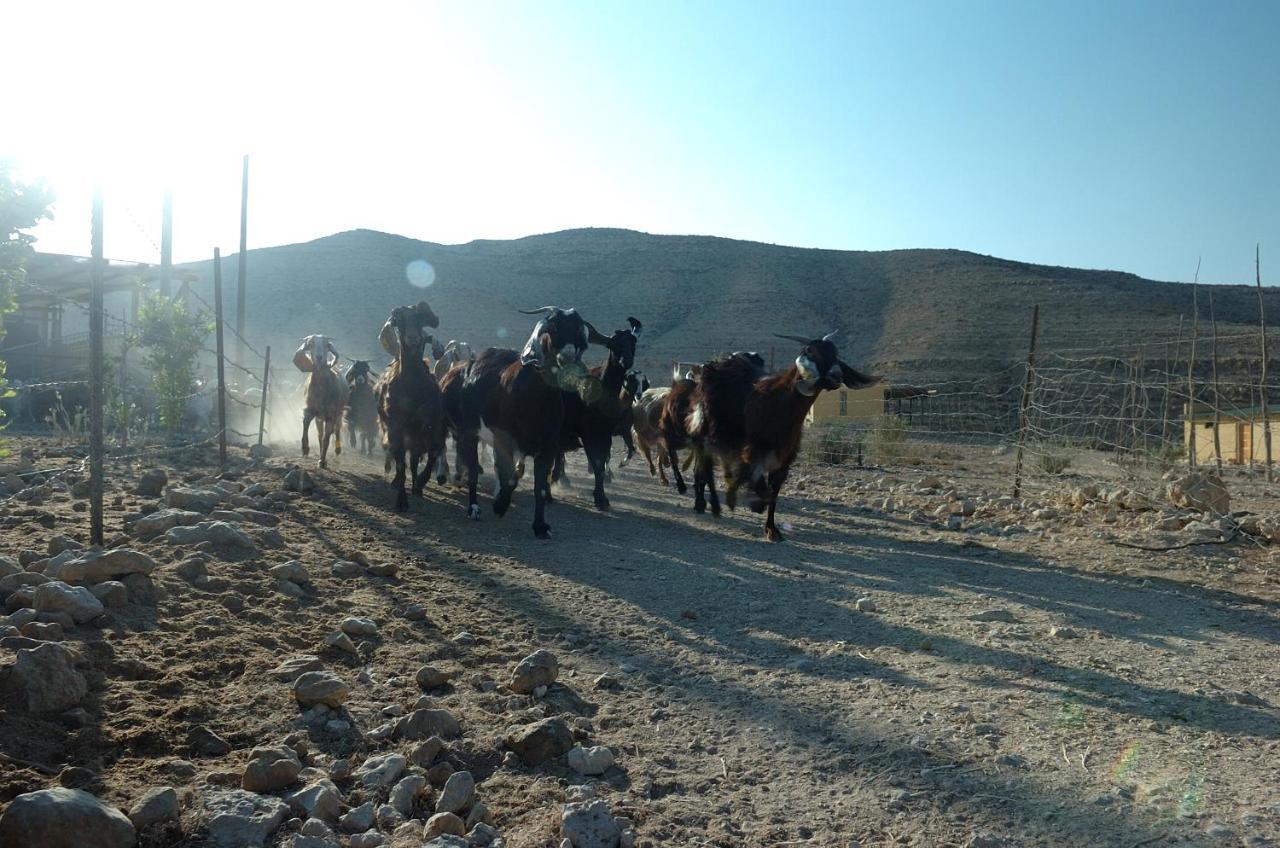 Naot Farm Villa Mashabbe Sade Buitenkant foto